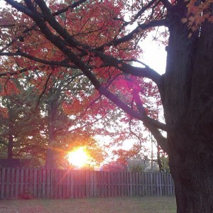 601096_10100518340458375_589979988_n