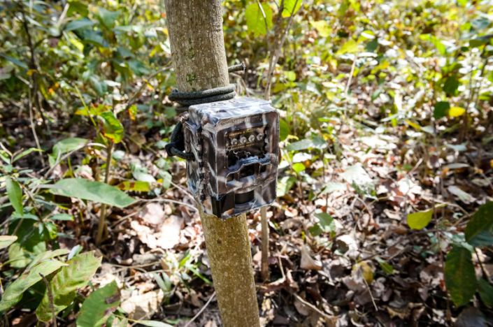 Camera traps.jpg